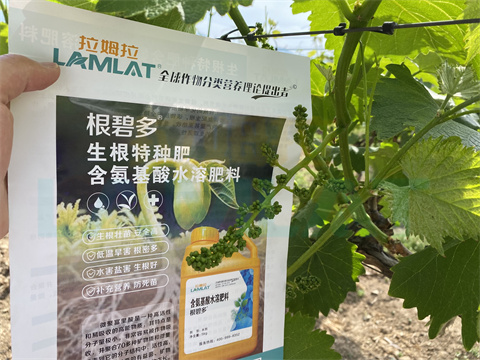 水溶肥，拉姆拉，翠姆